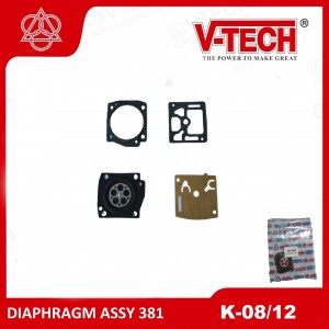 DIAPHRAGM ASSY 381